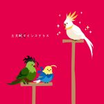  animalization bird fate/zero fate_(series) flat_color gilgamesh hair_ribbon jewelry lancer_(fate/zero) mole necklace parrot ribbon ryouko_(lovelovela) saber sparkle translated 