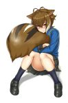  alternate_costume animal_ears blazblue blush brown_eyes brown_hair footwear highres makoto_nanaya panties pantyshot pantyshot_(sitting) pantyshot_sitting purinnssu shoes short_hair simple_background sitting skirt socks squirrel_ears squirrel_tail tail tail_hug underwear uniform upskirt white_background white_panties 