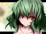  collarbone flower green_hair kazami_yuuka kotaka letterboxed looking_at_viewer no_nose nude outside_of_border red_eyes smile solo sunflower touhou youkai 