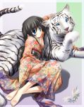  bad_feet barefoot japanese_clothes kimono new_year shion_(artist) shion_(kawasemi) solo tiger white_tiger 