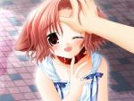  blush child collar dog_ears dress fang game_cg happy hinata hinata_(pure_pure) open_mouth outdoors outside petting pov pure_pure red_hair redhead ribbon sakurazawa_izumi short_hair solo sundress wink 