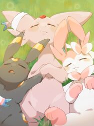  animal_focus blush bow closed_eyes closed_mouth espeon forehead_jewel grass highres hp7car7nxrq5s7q lying no_humans on_back open_mouth pokemon pokemon_(creature) pokemon_focus ribbon sleeping sylveon umbreon 