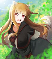  1girl :d animal_ear_fluff animal_ears black_capelet black_dress blunt_bangs blurry brown_hair capelet depth_of_field dress eyelashes fangs highres holo lens_flare long_hair looking_at_viewer makitekka open_mouth outdoors pouch red_eyes red_sash sash smile solo spice_and_wolf tail very_long_hair wolf_ears wolf_girl wolf_tail 