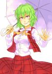  and ascot green_hair kazami_yuuka pink_eyes plaid short_hair skirt smile solo touhou umbrella vest waving youkai 