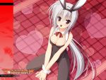  animal_ears bare_shoulders between_legs breasts bunny_ears bunny_girl bunnysuit chocolate chocolate_heart cleavage dracu-riot! elena_olegovna_owen fake_animal_ears fishnet_pantyhose fishnets hairband heart highres kobuichi looking_at_viewer mouth_hold pantyhose red_eyes side_ponytail silver_hair solo squatting wallpaper wrist_cuffs 