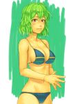  and bikini blush breasts cleavage green_hair kazami_yuuka looking_at_viewer navel red_eyes short_hair solo steepled_fingers swimsuit touhou youkai 