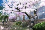  cherry_blossoms flower ikeda_jun petals seifuku 