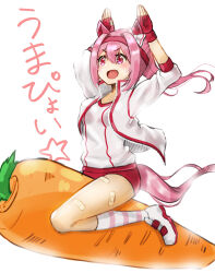  1girl :d akane_(akaneoekaki0928) animal_ears arms_up bandaid bandaid_on_leg breasts buruma carrot collared_jacket commentary fingerless_gloves full_body gloves gym_uniform haru_urara_(umamusume) headband highres horse_ears horse_girl horse_tail jacket open_clothes open_jacket open_mouth oversized_food oversized_object pink_eyes pink_hair pink_socks rabbit_pose red_gloves red_headband riding shoes simple_background small_breasts smile socks solo striped_clothes striped_socks tail three-quarter_sleeves umamusume umapyoi_(phrase) v-shaped_eyebrows white_background white_jacket white_shoes 