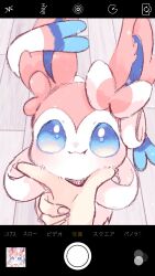  1other blue_eyes blush bow closed_mouth fake_phone_screenshot fake_screenshot highres indoors looking_at_viewer maaari_pkmn pokemon pokemon_(creature) pov selfie smile solo_focus sylveon wooden_floor 