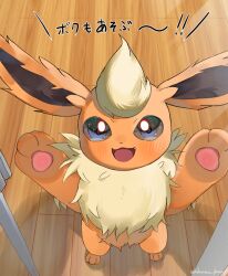  against_glass animal_focus blue_eyes blush flareon full_body highres hokaimo_pkmn looking_at_viewer neck_fur no_humans open_mouth orange_fur pawpads pokemon pokemon_(creature) pokemon_focus smile solo wooden_floor yellow_fur 