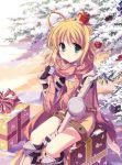  ahoge apple apple_o_archer armor arrow blush box food fruit gauntlets gift gift_box gloves greaves knight_(ragnarok_online) light_smile odawara_hakone plaid plaid_scarf ragnarok_online scarf sitting snow solo tree 