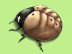  animal ao_usagi bug chest from_above green_background hokuto_no_ken insect ladybug lowres manly muscle no_humans parody pun simple_background solo 
