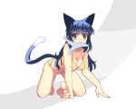  animal_ears barefoot bikini blue_hair blush breasts cat_ears catgirl cleavage fish long_hair mouth_hold nekomimi red_eyes sikorsky swimsuit tail transparent_background wallpaper 