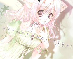  bow dress nekomimi pink_eyes pink_hair ribbon rio_mogami short_hair 