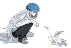  1boy bird black_pants blue_hat brown_shoes feathers full_body goose grey_eyes hat highres hunter_x_hunter kite_(hunter_x_hunter) long_hair long_sleeves looking_at_animal male_focus pants shirt simple_background solo squatting suri_yyc very_long_hair white_background white_feathers white_hair white_shirt 