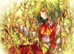  duplicate flower green green_hair kazami_yuuka miya_(artist) red_eyes short_hair solo touhou vines 