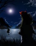  collie flandre_scarlet lake moon night touhou 