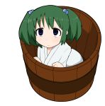  absurdres blue_eyes bucket green_hair hair_bobbles hair_ornament highres in_bucket in_container japanese_clothes kisume ladfa touhou twintails 