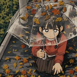  1girl autumn autumn_leaves black_eyes black_hair braid bright_pupils brown_skirt cardigan closed_mouth day full_body highres holding holding_umbrella leaf long_hair long_sleeves looking_at_viewer original outdoors pleated_skirt red_cardigan sihyun25 sitting skirt solo transparent transparent_umbrella twin_braids umbrella white_pupils 
