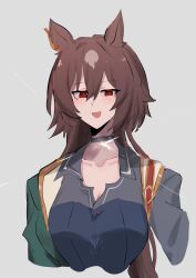  1girl animal_ears black_choker breasts brown_hair choker collarbone commentary_request ear_ornament green_jacket grey_background hair_between_eyes highres horse_ears horse_girl jacket long_hair medium_breasts open_mouth pendant_choker red_eyes simple_background sirius_symboli_(umamusume) smile solo umamusume upper_body very_long_hair veth_free 
