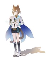  0311_mm animal_ears blue_eyes blush breasts brown_hair cheval_grand_(grand_itineraire)_(umamusume) cheval_grand_(umamusume) hair_between_eyes hat hat_belt horse_ears horse_girl horse_tail multicolored_hair peaked_cap simple_background solo streaked_hair tail umamusume white_background white_hair white_hat 