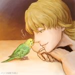 barnaby_brooks_jr bird blonde_hair green_eyes nose_bite parakeet parrot tiger_&amp;_bunny yasucaflex 