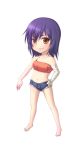  bandage bandages bandeau barefoot blue_hair brown_eyes chibi denim denim_shorts highres kanbaru_suruga kuena monogatari_(series) nisemonogatari short_hair shorts 