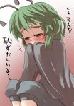 antennae blush cape embarrassed female gaoo_(frpjx283) green_eyes green_hair highres short_hair solo touhou translated translation_request wriggle_nightbug 