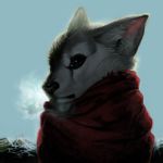  angry black_eyes breathing cold looking_at_viewer lowres no_humans original portrait scarf solo toron toronn wolf 