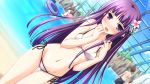  artist_request bikini blush character_request dutch_angle flower game_cg hair_flower hair_ornament iro_ni_ide_ni_keri_waga_koi_wa ko~cha long_hair navel open_mouth purple_eyes purple_hair shiny shiny_skin side-tie_bikini swimsuit tenjou_kikyou thigh_gap very_long_hair violet_eyes 