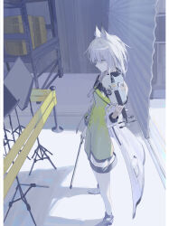  1girl absurdres animal_ear_fluff animal_ears arknights ay4_la cat_ears cat_girl closed_mouth coat dress full_body green_dress green_eyes hand_up highres holding holding_syringe kal'tsit_(arknights) lab_coat long_sleeves off_shoulder open_clothes open_coat shadow shoes solo standing stethoscope syringe white_coat white_hair 