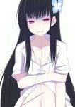 black_hair breasts cleavage der_(derm9) dress_shirt flower hair_flower hair_in_mouth hair_ornament hydrangea long_hair mouth_hold naked_shirt navel pale_skin red_eyes sanka_rea sankarea scar shirt simple_background smile solo stitches zombie 