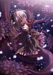  1girl arm_at_side black_choker black_dress black_hairband black_ribbon blush breasts cat_tail choker closed_mouth collarbone commentary_request dress dress_flower dress_ribbon falling_petals flower frilled_choker frilled_dress frilled_sleeves frills from_behind full_body garden gothic_lolita grey_hair hair_between_eyes hair_ribbon hairband hand_up hapymaher highres juliet_sleeves koku lolita_fashion long_ribbon long_sleeves looking_at_viewer looking_back medium_hair naitou_maia night official_art outdoors petals puffy_sleeves red_eyes red_flower red_ribbon red_rose ribbon rose scenery sidelighting sitting sitting_on_branch slit_pupils small_breasts smile solo striped_clothes striped_tail striped_thighhighs tail thigh-highs tree two_side_up white_flower white_rose wide_sleeves 
