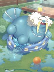  ball commentary_request day fence grass highres hose hose_nozzle no_humans official_art open_mouth outdoors pokemon pokemon_(creature) pokemon_focus puddle solo tusks wading_pool walrein water yellow_eyes 