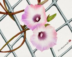  artist_name chain-link_fence commentary_request fence flower flower_focus highres morning_glory no_humans original pink_flower pistol_handmade_(artist) plant plant_focus vines white_background 