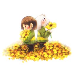  1boy 1other 2018 2d ambiguous_gender animal_ears anthro asriel_dreemurr back-to-back black_pants body_fur boots brown_hair brown_pants chara_(undertale) child cowboy_shot digital_media droopy_ears duo fangs floppy_ears flower furry furry_male goat goat_boy goat_ears green_sweater holding holding_flower horizontal-striped_clothes human ichitei_(ut_1t) long_sleeves male mammal monster monster_boy pants short_hair simple_background single_horizontal_stripe striped_clothes striped_sweater sweater two-tone_sweater undertale utdr_(toby_fox) white_background white_fur yellow_flower yellow_stripes 