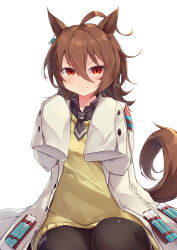  1girl absurdres agnes_tachyon_(tach-nology)_(umamusume) agnes_tachyon_(umamusume) ahoge animal_ears black_necktie blush brown_hair brown_pantyhose chemical_structure closed_mouth coat commentary_request cork earrings hair_between_eyes highres horse_ears horse_girl horse_tail jewelry kanzakietc lab_coat long_sleeves looking_at_viewer medium_hair necktie pantyhose red_eyes shirt short_necktie simple_background single_earring sleeves_past_fingers sleeves_past_wrists solo sweater sweater_vest tail test_tube umamusume white_background white_coat wolf_cut yellow_sweater yellow_sweater_vest 