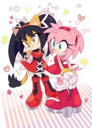 2girls amy_rose animal_ears animal_nose arms_behind_back black_hair boots cat_girl dress eyelashes furry furry_female green_eyes hairband hedgehog_girl highres honey_the_cat multiple_girls pink_hair red_boots red_dress red_hairband ririkuma0530 smile sonic_(series) twintails yellow_eyes
