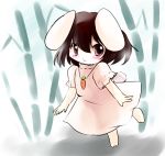  animal_ears blush brown_hair bunny_ears bunny_tail carrot chibi highres inaba_tewi jewelry looking_at_viewer necklace rabbit_ears short_hair smile solo tail touhou yume_shokunin 