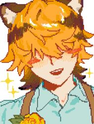  1boy animal_ear_fluff animal_ears blanc_(heartopia) blonde_hair blush brown_hair collared_shirt commentary_request facing_viewer flower hair_over_eyes heartopia heartopia_(medium) highres multicolored_hair nxx17 open_mouth pixel_art portrait rose shirt solo sparkle teeth tiger_boy tiger_ears two-tone_hair upper_teeth_only yellow_flower yellow_rose 