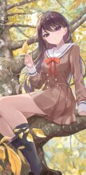 1girl absurdres autumn_leaves bang_dream! bang_dream!_it's_mygo!!!!! black_socks blacky1266859 breasts brown_dress brown_hair commentary commission dress hanasakigawa_school_uniform highres holding holding_leaf in_tree kneehighs leaf long_hair long_sleeves looking_at_viewer medium_breasts mole mole_under_eye parted_lips pleated_dress sailor_collar sailor_dress school_uniform second-party_source shiina_taki socks solo tree violet_eyes white_sailor_collar 