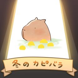 ._. 1:1 2021 2d animal animal_focus body_fur capybara digital_media grey_background no_humans onk_(kkkarb) orange_fur original partially_submerged simple_background solo spotlight text translation_request water white_background