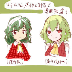  1girl aomurasaki_r ascot commentary green_hair highres kazami_yuuka red_eyes shirt smile touhou translated white_shirt yellow_ascot zun_(style) 