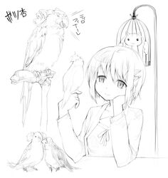  akemi_homura animalization bird cage kaname_madoka kyubey mahou_shoujo_madoka_magica miki_sayaka monochrome parody sakura_kyouko sketch tomoe_mami 