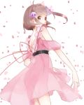  ass back brown_eyes brown_hair dress hair_ornament hairpin lhnao looking_back no_panties nyanyacchi open-back_dress petals pink_dress puffy_sleeves reala see-through short_hair solo tales_of_(series) tales_of_destiny_2 white_background 
