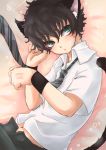  animal_ears cat_ears cat_tail catboy emu_(trigger) green_eyes kirihara_akaya male navel necktie paw_pose short_hair solo tail tennis_no_ouji-sama 