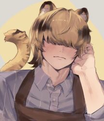  1boy animal_ear_fluff animal_ears blanc_(heartopia) blonde_hair blush brown_hair commentary_request hair_over_eyes heartopia highres konbuchansan male_focus multicolored_hair solo tail tiger_boy tiger_ears tiger_tail two-tone_hair 