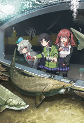  3girls absurdres aquarium black_hair black_jacket black_ribbon black_skirt bow bowtie braid bug butterfly caustics cevio commentary double_bun dress_shirt green_eyes green_jacket green_necktie grey_hair grey_sweater hair_bun hair_ribbon hanakuma_chifuyu highres hiroya_(hirogaya_02) jacket koharu_rikka leaning_forward looking_at_another multiple_girls natsuki_karin necktie open_mouth parted_lips pink_bow pink_bowtie purple_bow purple_bowtie red_eyes ribbon school_uniform shirt short_hair skirt sturgeon_(fish) sweater synthesizer_v tropical_fish twin_braids twintails white_shirt window 