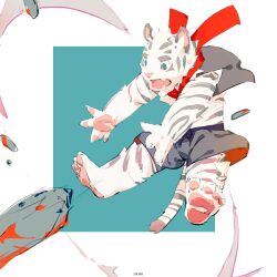  1boy aged_down animal_ears arknights black_shorts blue_eyes claws falling fang full_body furry furry_male highres male_focus mountain_(arknights) official_artist_extra open_mouth pawpads shorts solo tail thick_eyebrows tiger_boy tiger_ears tiger_stripes tiger_tail vest white_fur wincalblanke 