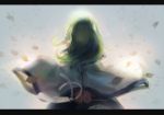  arms_behind_back from_behind gohei green_hair kishiyo kochiya_sanae leaf letterboxed long_hair snake solo touhou 